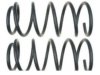 GENERAL MOTORS 22716374 Coil Spring