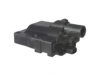 OEM 1908050010 Ignition Coil