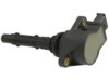 OEM 0001501980 Ignition Coil