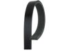 MAZDA KL7015908 Belt