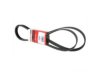 MOTORCRAFT  JK6902A Belt