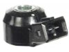 OEM 2206030P00 Knock (Detonation) Sensor