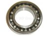 ALLIS CHALMERS 217856 Differential Bearing