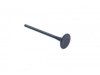  6130087 Exhaust Valve