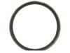 FEL-PRO  61519 Pipe Flange Gasket / Seal