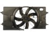 DORMAN 620691 Radiator Fan Assembly