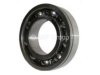 MRC 209SG Transfer Case Output Shaft Bearing