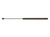 AMS AUTOMOTIVE  6331 Lift Support