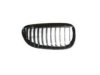 VARIOUS MFR  BM1200205 Grille