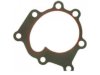 FEL-PRO  35491 Water Pump Gasket