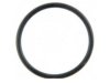 FEL-PRO  35759 Thermostat / Thermostat Housing / Water Outlet Seal