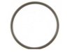 FEL-PRO  61344 Pipe Flange Gasket / Seal