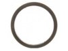 OEM 12559277 Crankshaft Seal