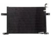 OEM 560001484 A/C Condenser