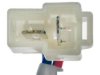 DORMAN 741998 Window Regulator & Motor Assembly