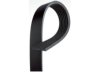 ACDELCO  7K825 Belt
