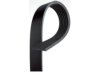 BRITISH LEYLAND MOTORS PQS101480 Belt