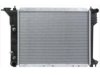 OEM 4140685 Radiator