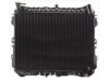 OEM N350152000 Radiator