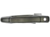 DORMAN 80117 Outside Door Handle