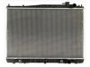 OEM 214109Z010 Radiator