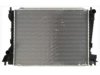 OEM XR8002935 Radiator