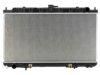 OEM 214106M100 Radiator