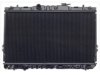 OEM 2531027000 Radiator