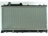 OEM 45119FG040 Radiator