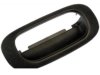 DORMAN 80172 Tailgate Handle Bezel