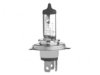 ACDELCO  9003 Fog / Driving Light Bulb