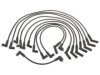 GENERAL MOTORS 88862000 Spark Plug Wire