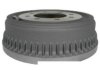 RAYBESTOS  9625 Drum