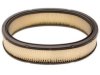 OEM 25099114 Air Filter