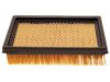 OEM 25099415 Air Filter