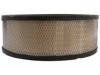 OEM 6419892 Air Filter