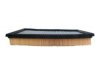 GENERAL MOTORS 92068161 Air Filter