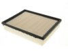 OEM 15908916 Air Filter