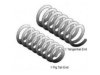 ROADMATES 110209 Coil Spring