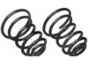 SATURN 22132174 Coil Spring