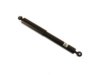 BILSTEIN  19171579 Shock Absorber