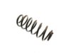  199021 Coil Spring