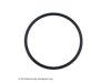 ISEAL PERFORMANCE (CORTECO) 123481 Water Pump Gasket