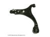 OEM 545013S000 Control Arm