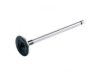 INTERAMERICAN MOTOR CORPORATION 1320184A00 Intake Valve