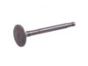 INFINITI 1320267U03 Exhaust Valve