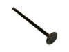 INTERAMERICAN MOTOR CORPORATION B54112121 Exhaust Valve