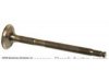 BECK/ARNLEY  0213577 Exhaust Valve