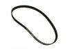 BECK/ARNLEY  0261061 Timing Belt