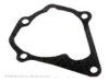 INTERAMERICAN MOTOR CORPORATION 2512422000 Water Pump Gasket